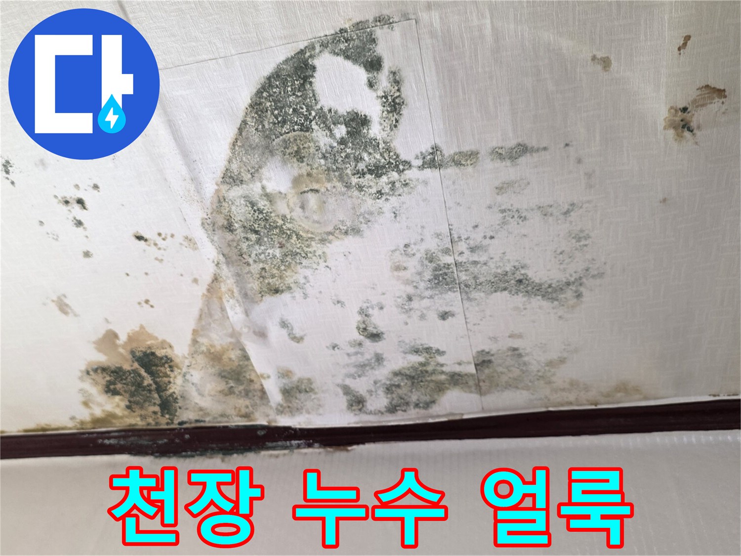 광진구-다구주택-천장-누수-흔적-및-곰팡이-발생-상태