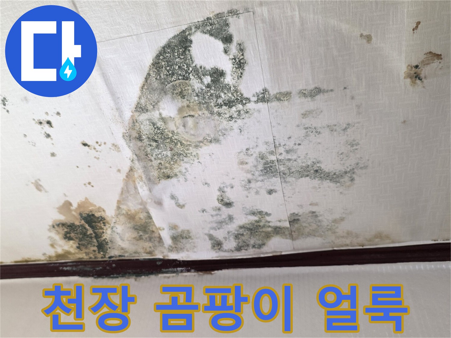 물샘으로 인해 변색되고 곰팡이가 번진 천장 벽면의 모습