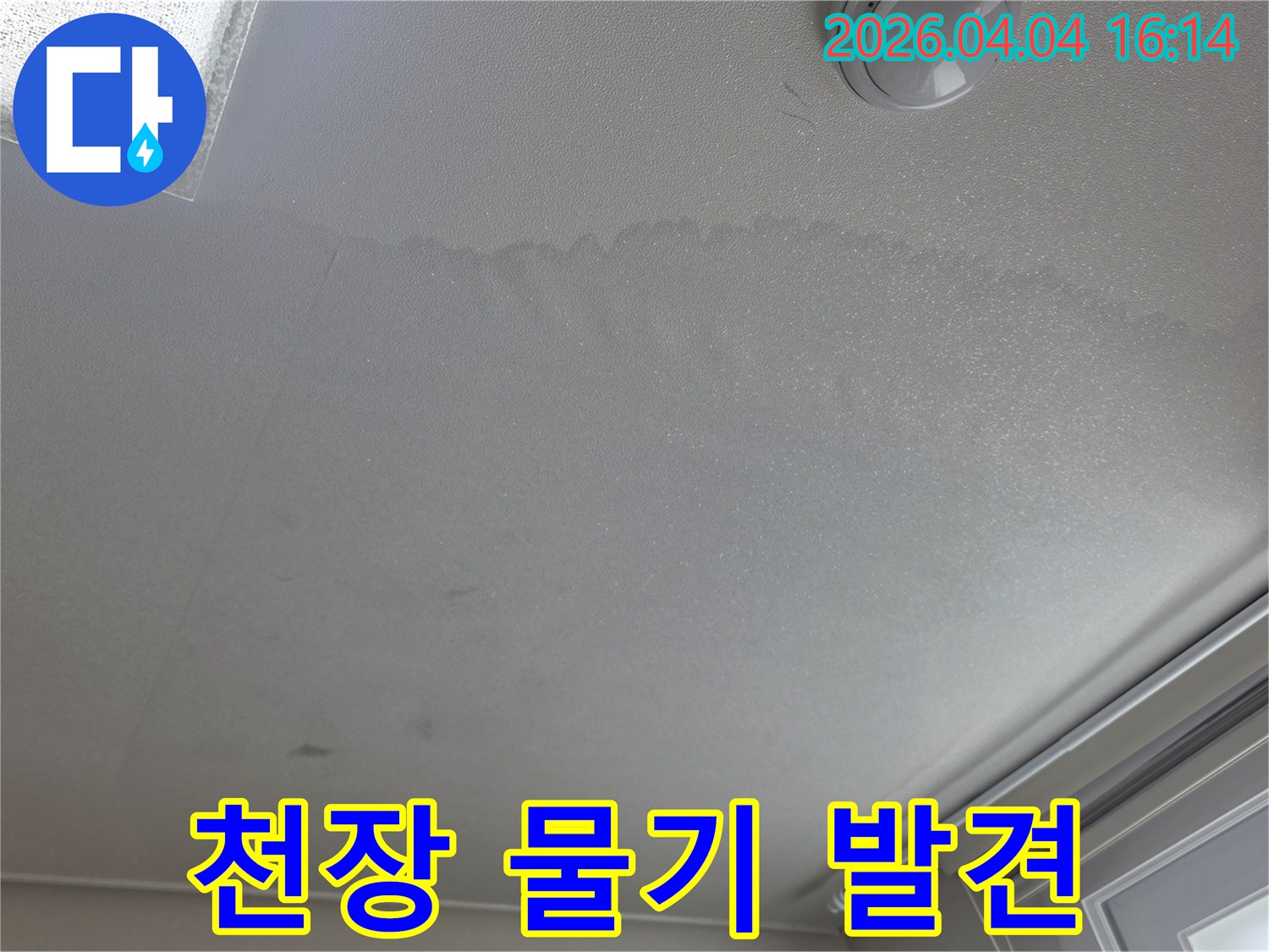 물에-젖어-변색된-천장-부분을-자세히-보여주는-사진