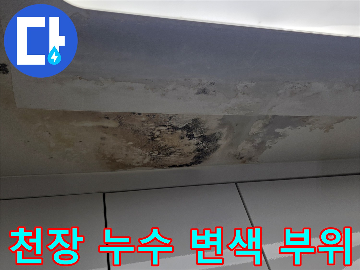 세탁실 천장의-넓은 물자국과 곰팡이 오염 상태