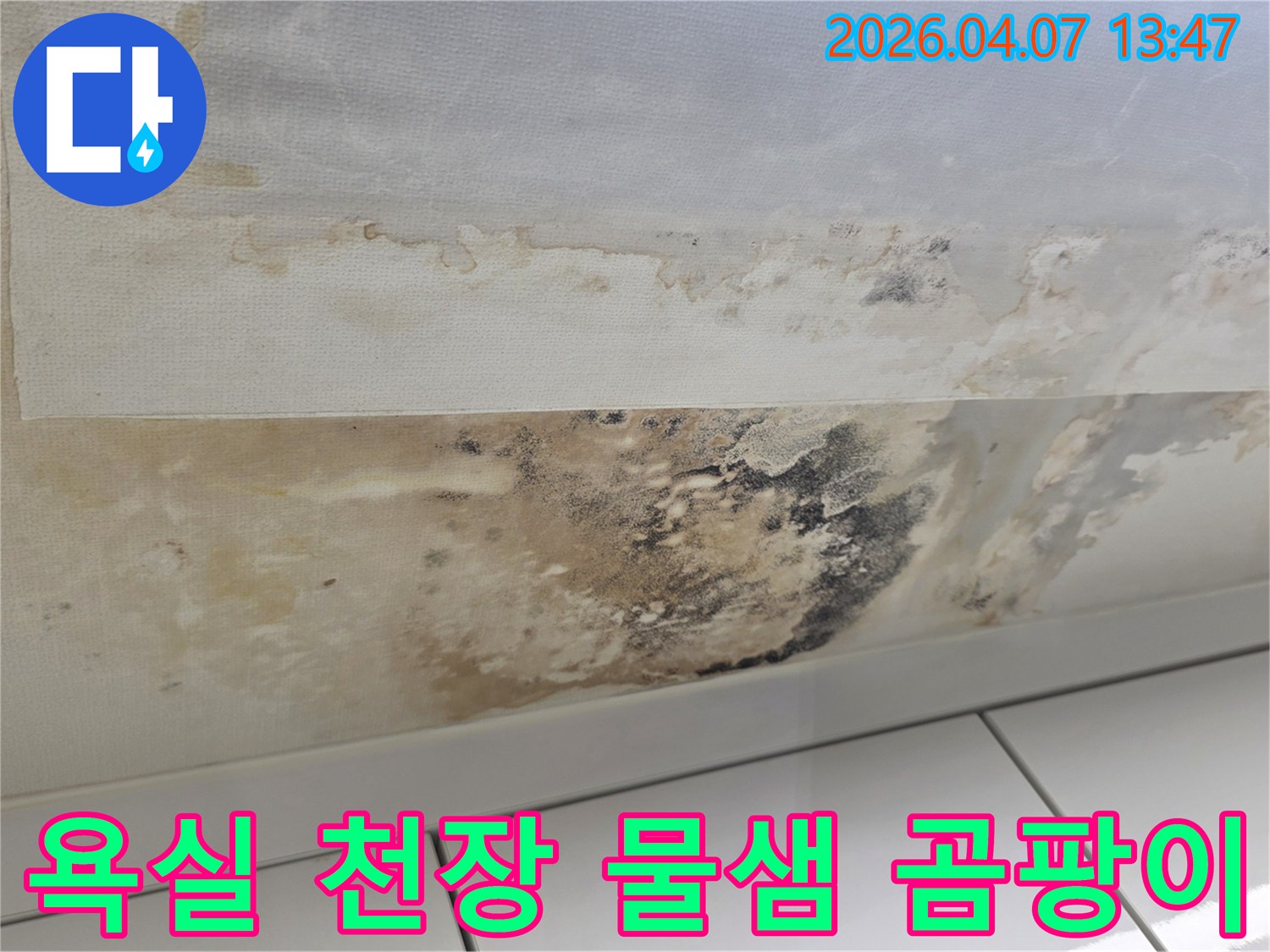 이 이미지는 빌라 욕실 천장에서 발생한-물샘과 곰팡이 문제를 보여줍니다