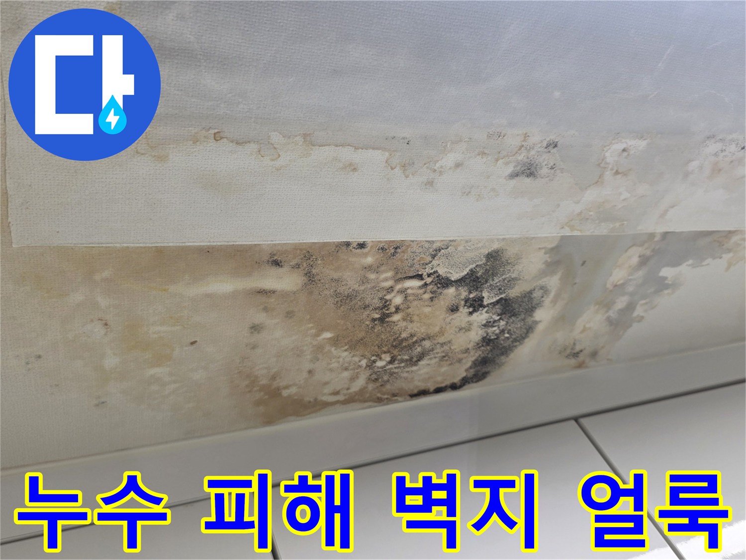 천장 마감재에 나타난 광범성한 물샘 자국과 오염