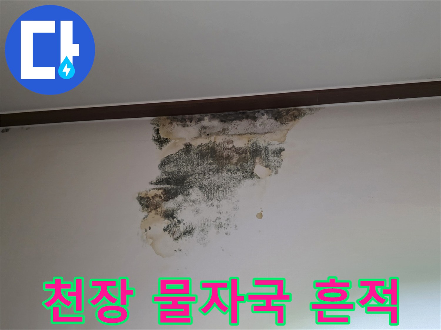 천장 몰딩 부근의 젖은 벽지와 곰팡이 발생 부위
