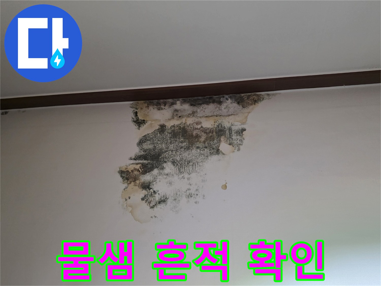천장 벽지에 나타난 넓은 범위의 물자국과 곰팡이