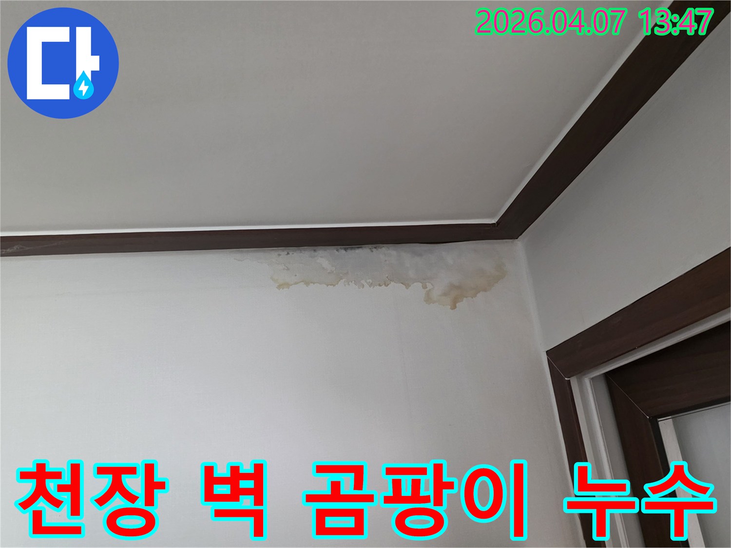 천장과 벽 사이의 누수로 인해 생긴-곰팡이와 물자국은-건강과 건물에 해로울 수 있습니다