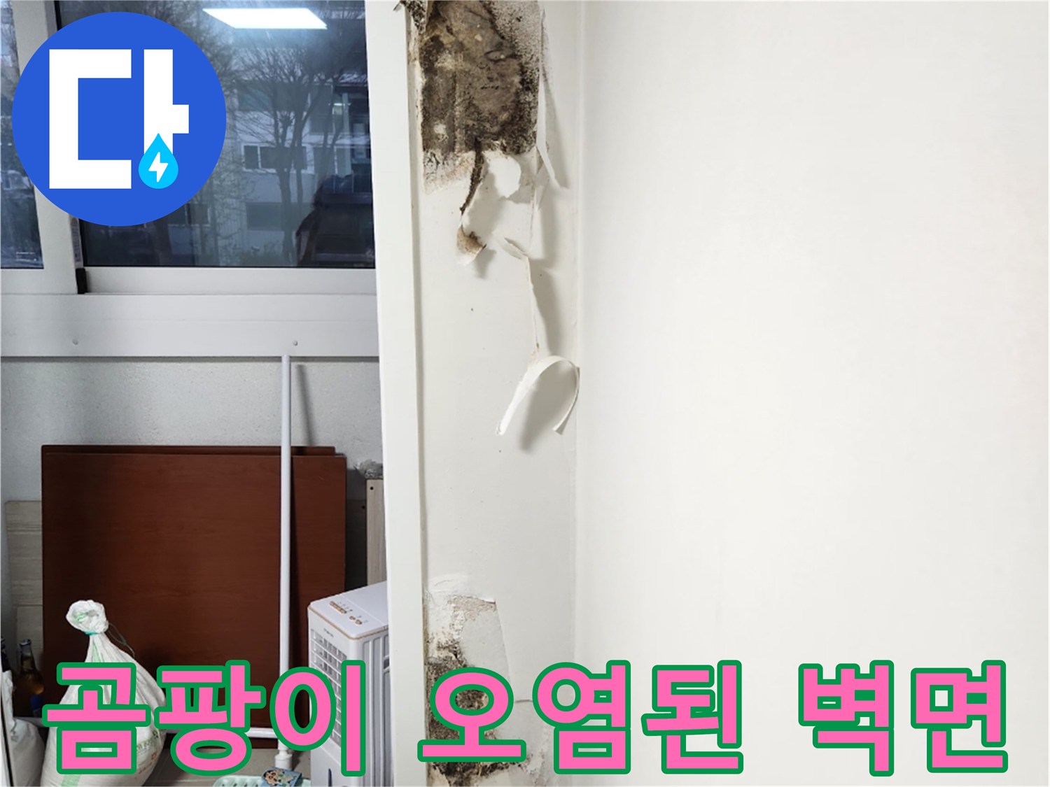 우수관 인근의 심한 곰팡이와 벗겨진 벽지 상태