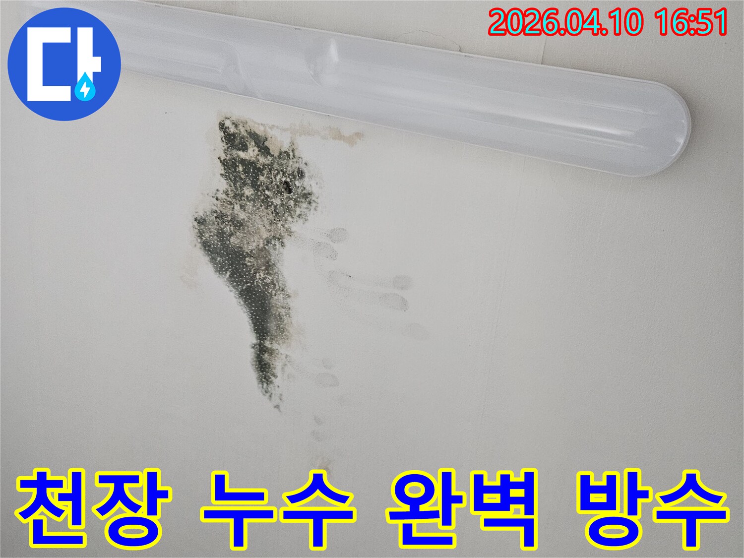 천장에 발생한 누수와 곰팡이 피해를 보여주는 사진-신속한 진단과 보수가 필요한 긴급 상황입니다