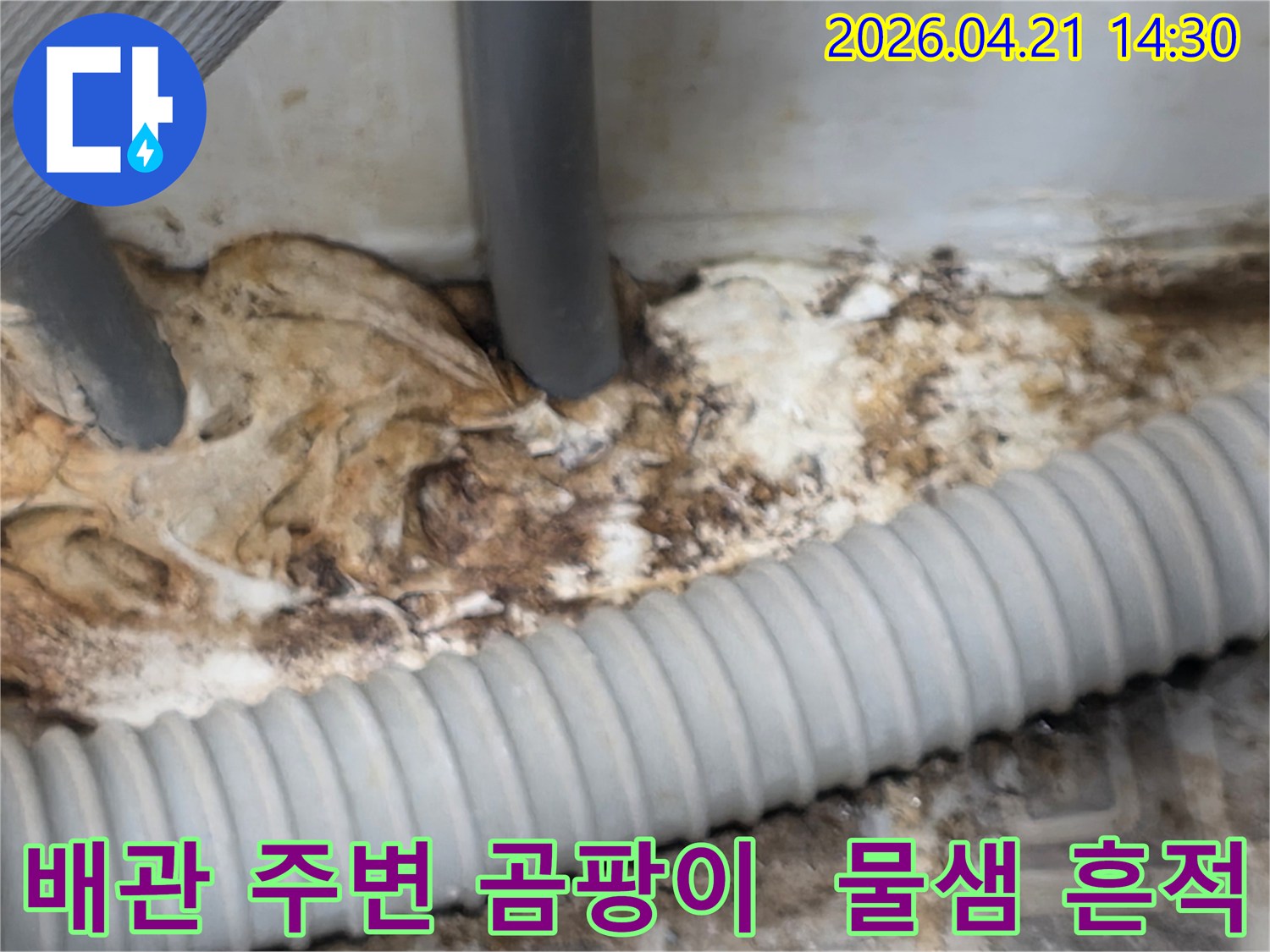 오래된-배관-주변에-발생한-심각한-곰팡이와-물샘-흔적을-보여주는-현장-사진