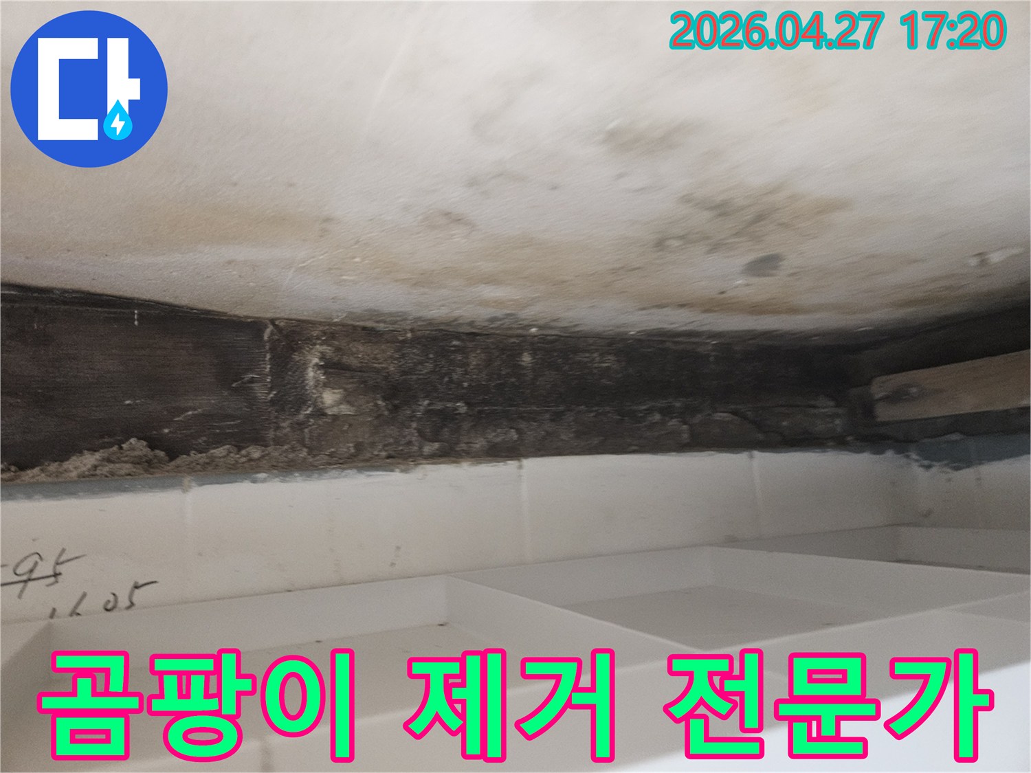 누수로 인해-욕실 천장-벽면에-발생한-곰팡이를-전문적으로-제거하고-위생적인-환경을-조성하는-현장-사진