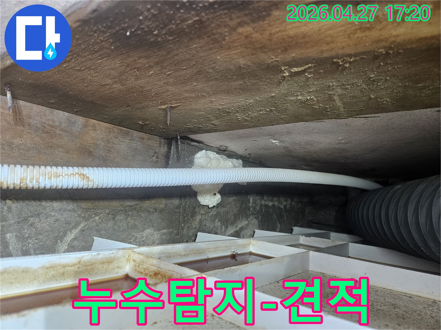 욕실-천장-누수-현장에서-누수탐지-비용-견적을-위해-현장을-점검하는-전문가의-모습
