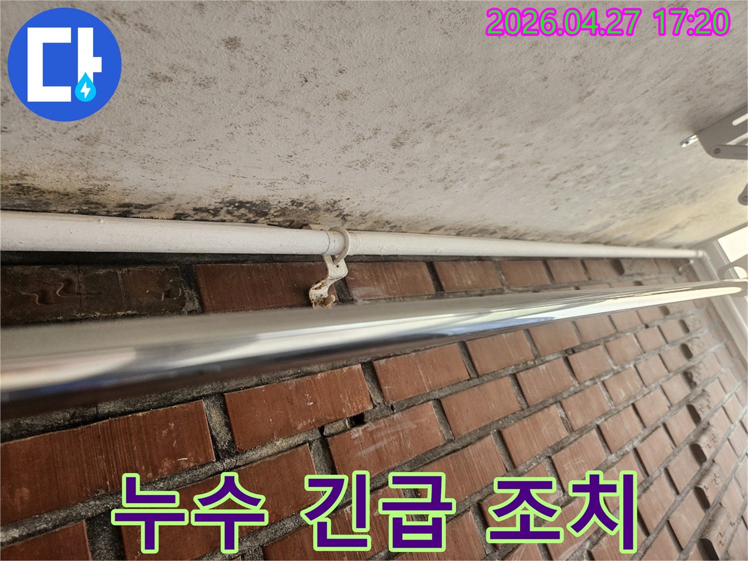천장 콘크리트의 곰팡이와-녹슨 배관 지지대는-누수 긴급 조치가 필요한 현장입니다