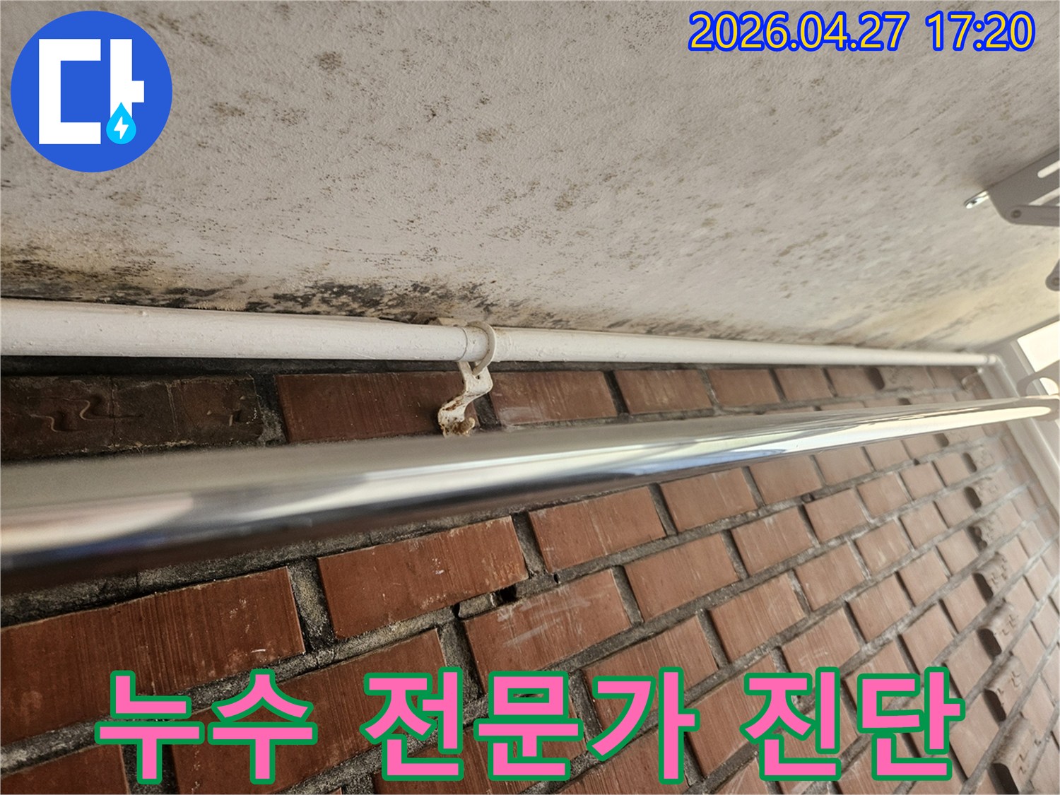 천장 콘크리트의 곰팡이와-녹슨 배관 지지대는-누수 전문가의 진단이 필요한 현장입니다