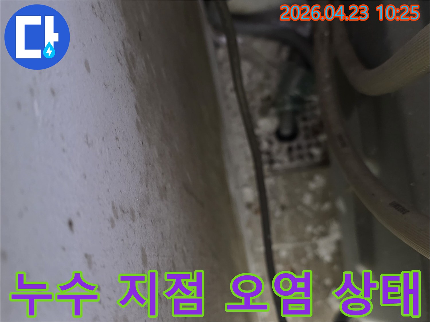 누수-탐지-전문가가-현장에서-누수-지점의-오염-상태와-물-흔적을-꼼꼼히-살피는-장면