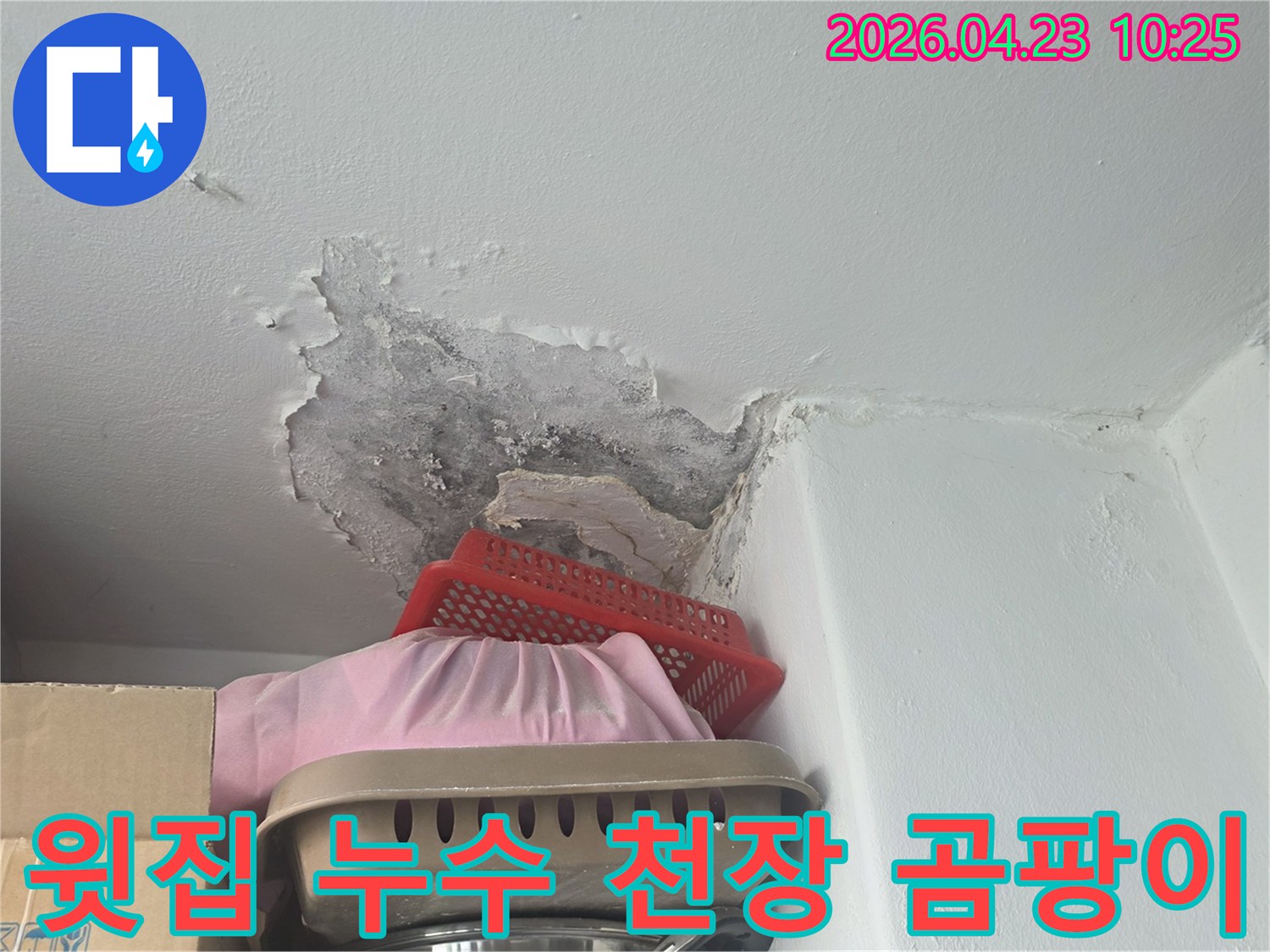윗집 누수로 인해-천장 벽지가 벗겨지고-검은 곰팡이가 생긴 상태