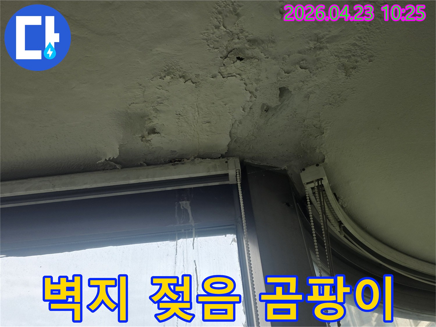창문-주변-천장과-벽면에서-누수로-인해-벽지가-젖고-곰팡이가-생긴-상황입니다