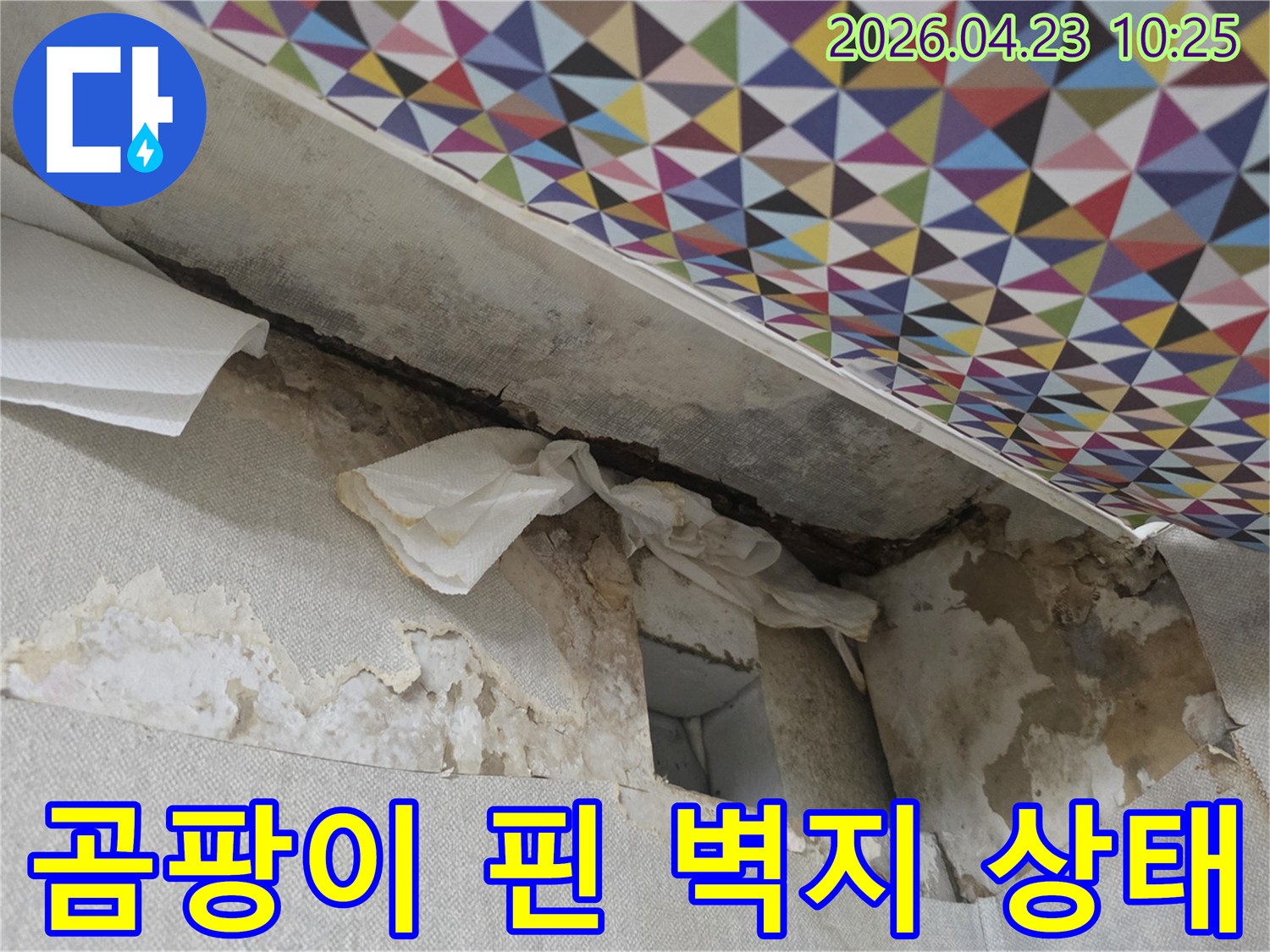 천장-또는-벽면에서-물이-새어-벽지가-들뜨고-얼룩진-상태를-촬영한-사진입니다.