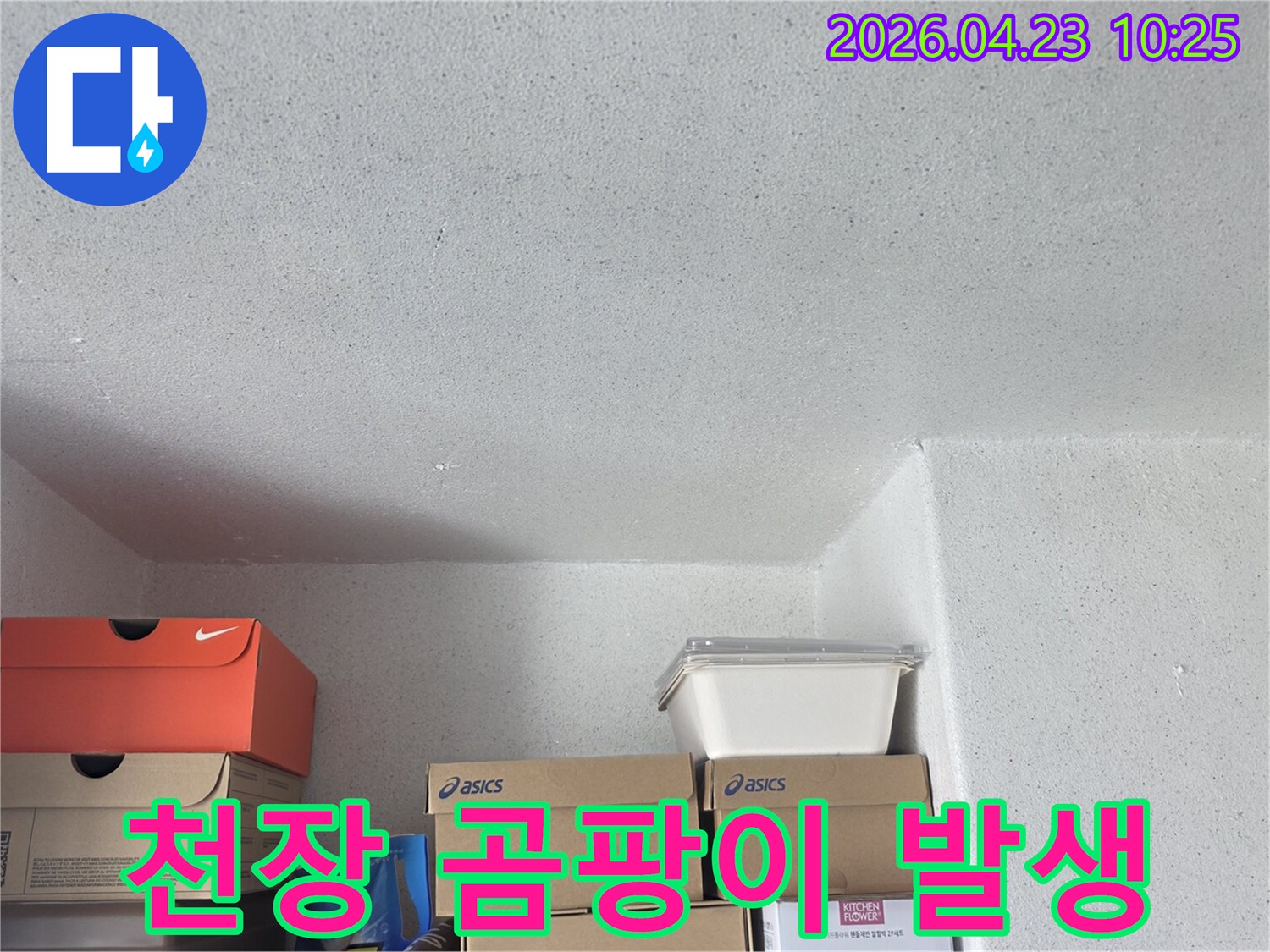 천장 모서리에 생긴 곰팡이-자국을-통해-누수-가능성을-진단하는-과정입니다.