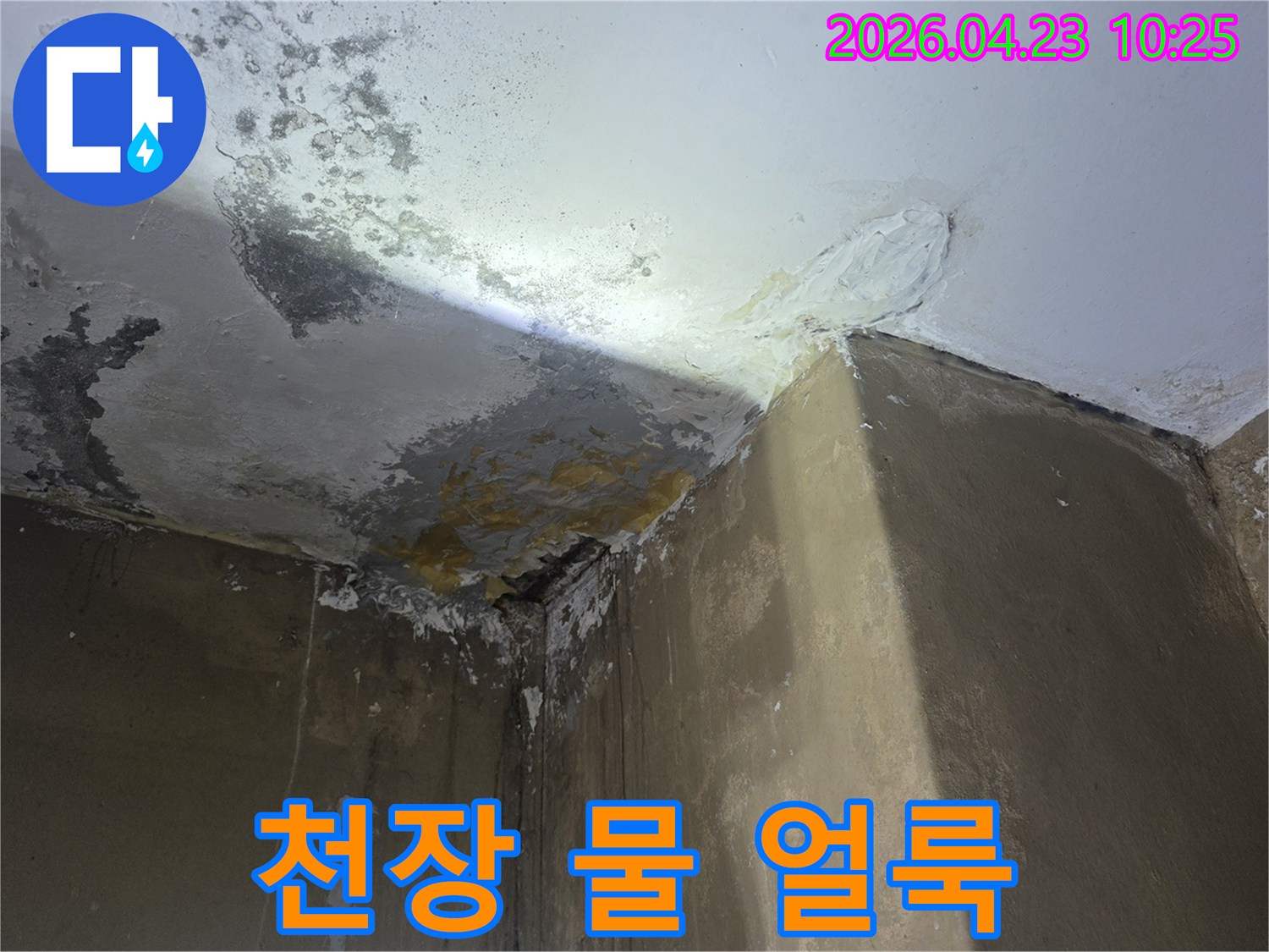 천장-벽면-모서리-부분-물에-젖어-얼룩진-상태-사진