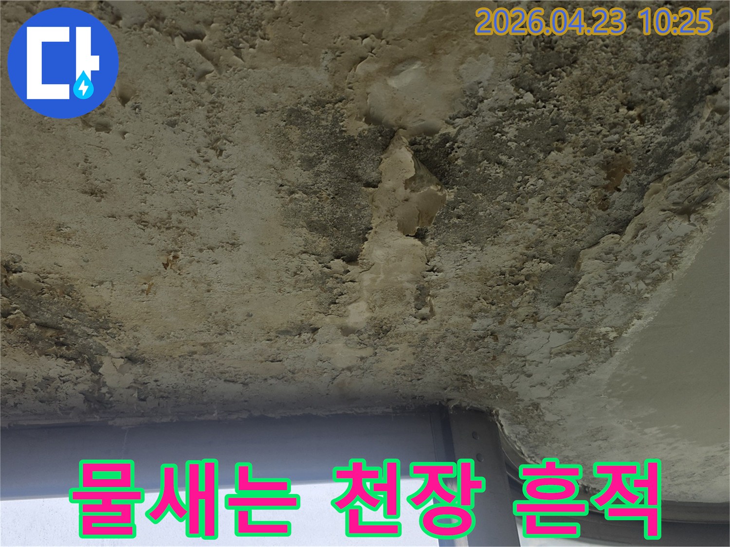 천장에서 물이 새어 페인트가 부풀어 오르고-부분적으로 떨어져 나간-심각한 누수 흔적