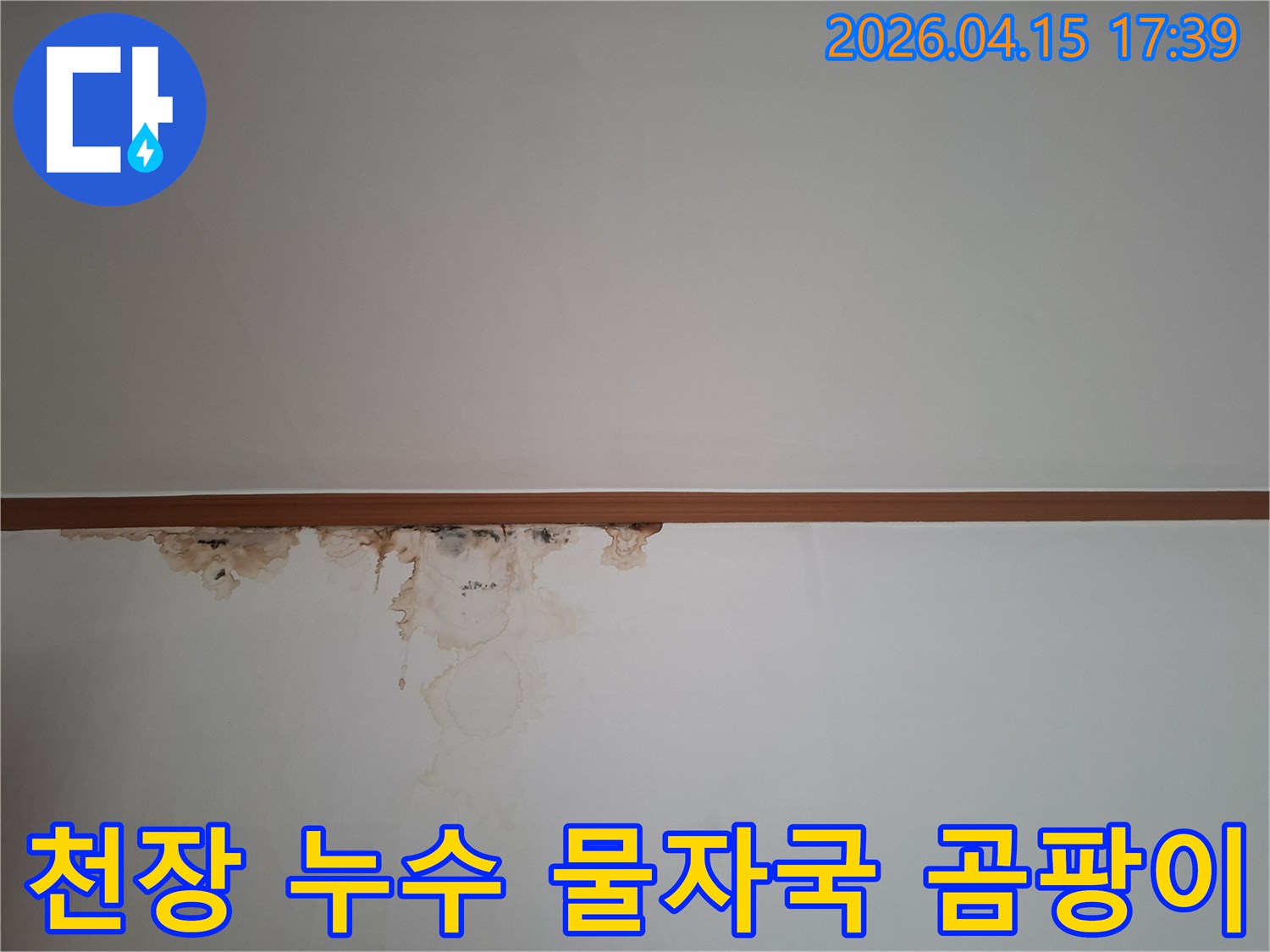 천장과 벽이 만나는 부분에-누수로-인한-심한-물자국과-검은-곰팡이가-번져있는-현장-모습을-보여주는-사진입니다