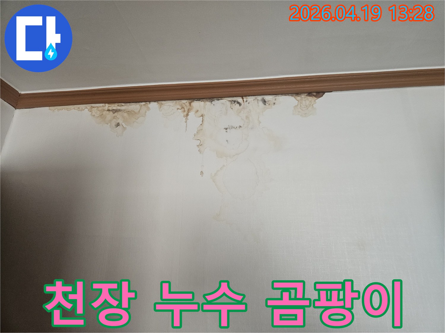 천장과 벽이 만나는 부분에 발생한 심한 누수 얼룩과-곰팡이 증식을 보여주는 사진입니다.