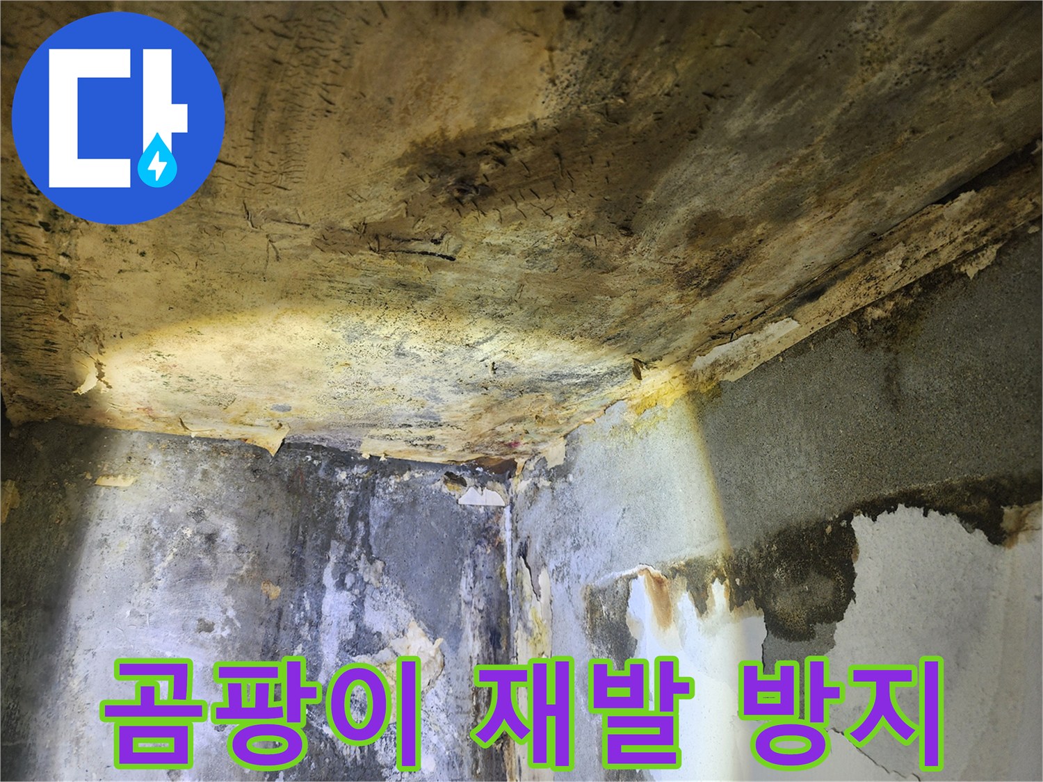 누수로 인해-천장과 벽에 발생한-곰팡이의 재발을 방지하기 위한-조치를 설명하는 현장