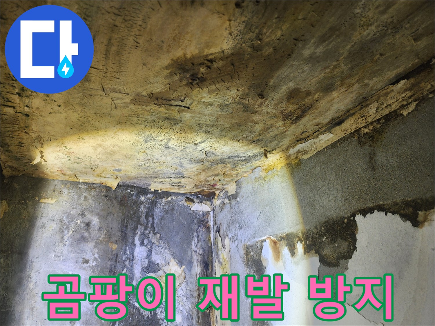 누수로 인해-천장과 벽에 발생한-곰팡이의 재발을 방지하기 위한-조치를 설명하는 현장