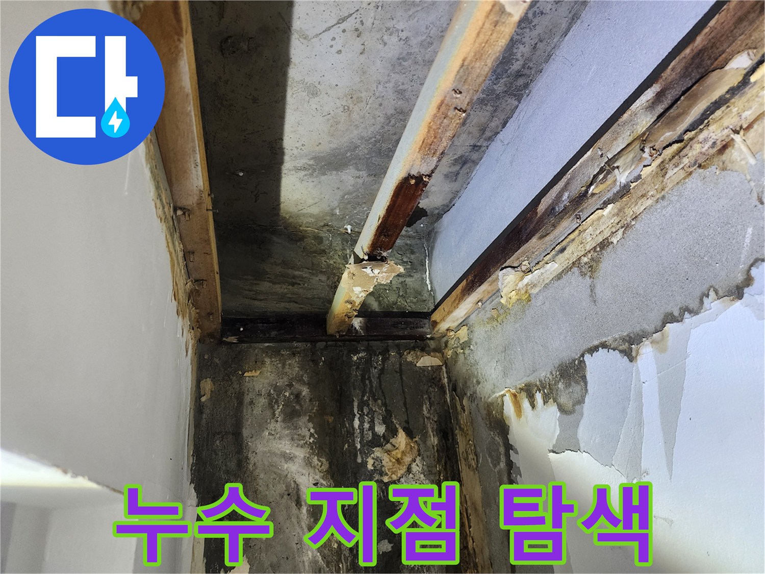 석고보드-제거-후-누수-엔지니어가-천장-내부에서-누수-지점을-정밀하게-탐색하는-과정