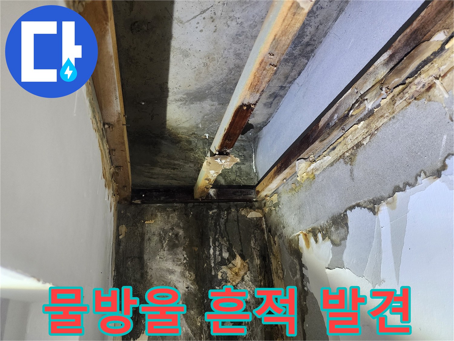석고보드-제거-후-천장-내부에서-발견된-누수로-인한-물방울-흔적-모습
