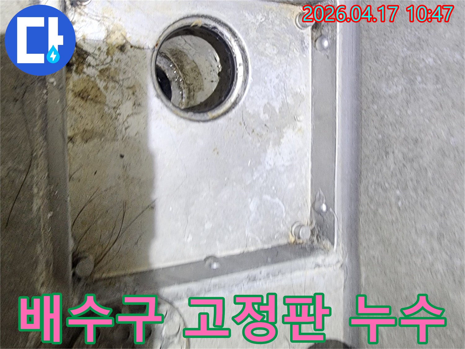 욕실 배수구의 금속 고정판 아래에서-발견된 물때와 오염을 통해-누수 발생 여부를-면밀히 확인하는 과정입니다