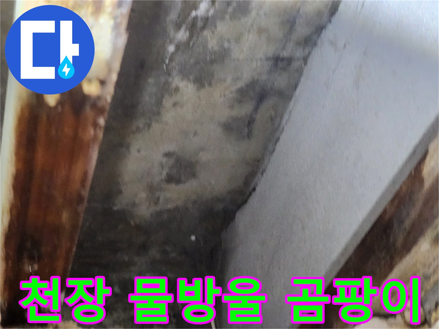 천장 모서리 부분에 맺힌 물방울과-그로 인해 번식한 곰팡이 현장을 보여줍니다