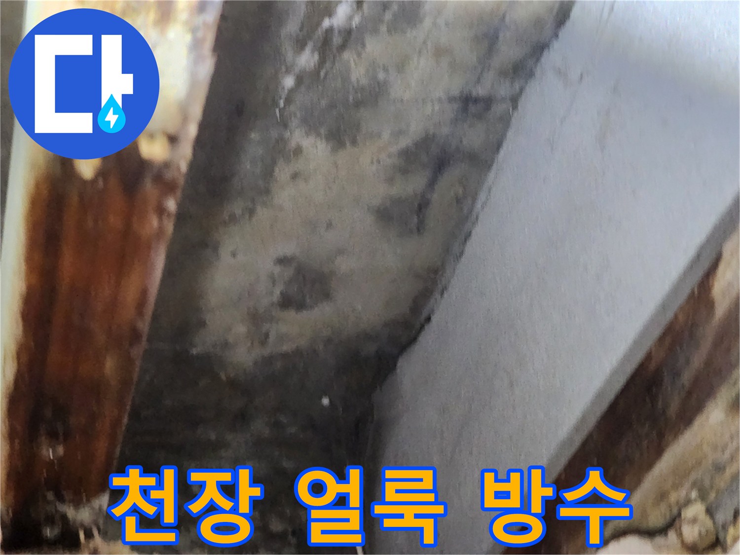 천장 모서리에 생긴 누수 얼룩과-그 주변의 곰팡이 흔적을 보여주는 이미지입니다