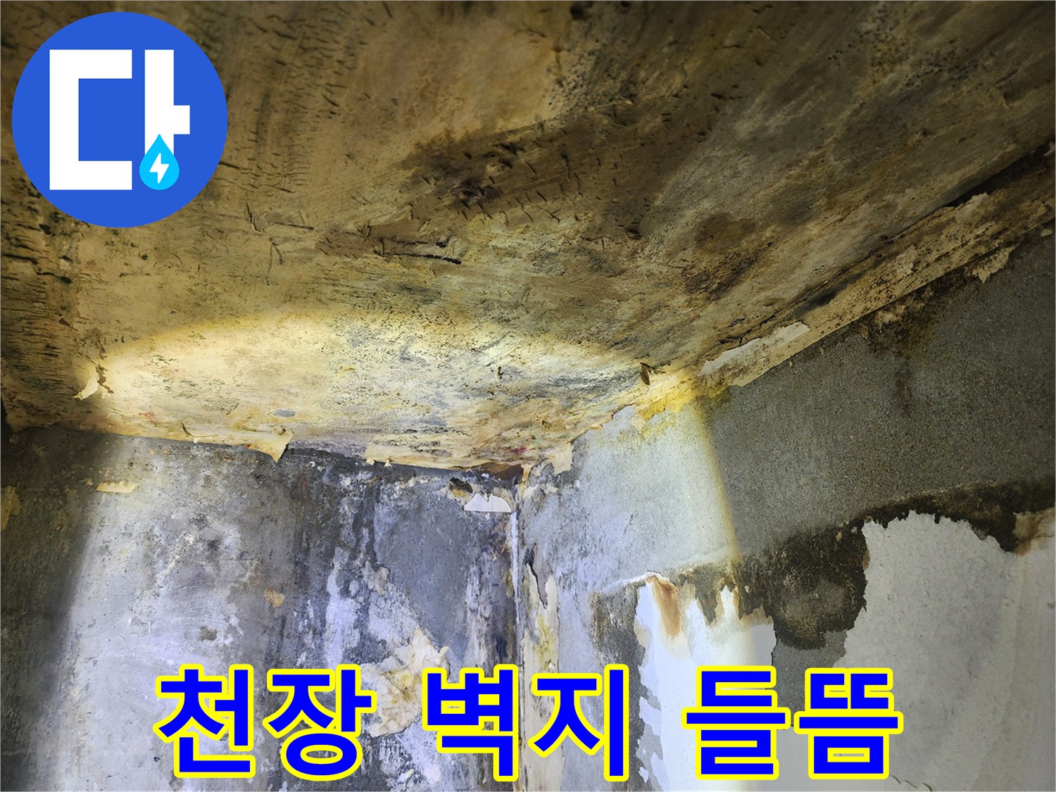천장과 벽면의-누수로 인한 벽지 들뜸과-심각한 물샘 흔적을-보여주는 현장 사진