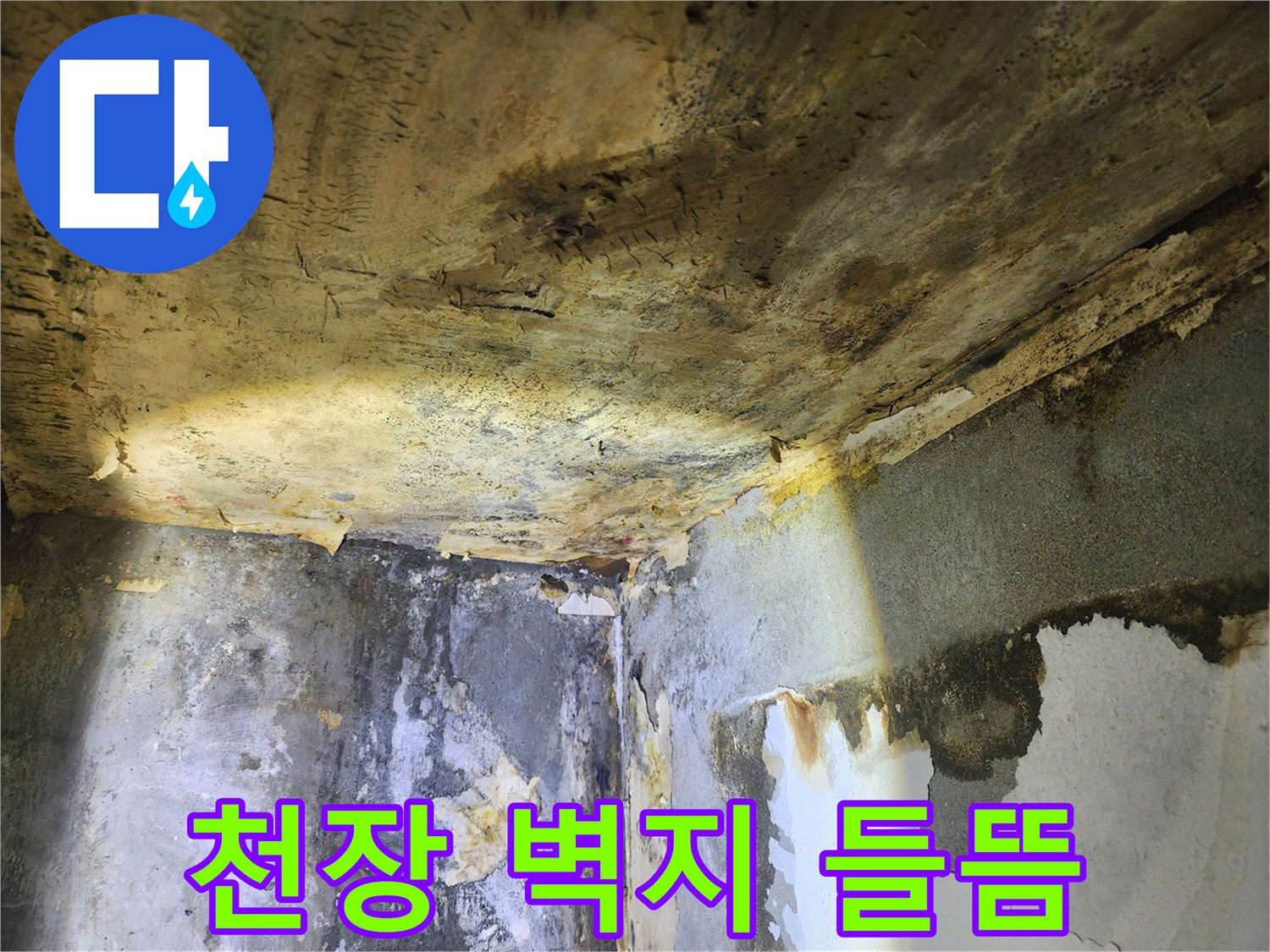 천장과 벽면의-누수로 인한 벽지 들뜸과-심각한 물샘 흔적을-보여주는 현장 사진