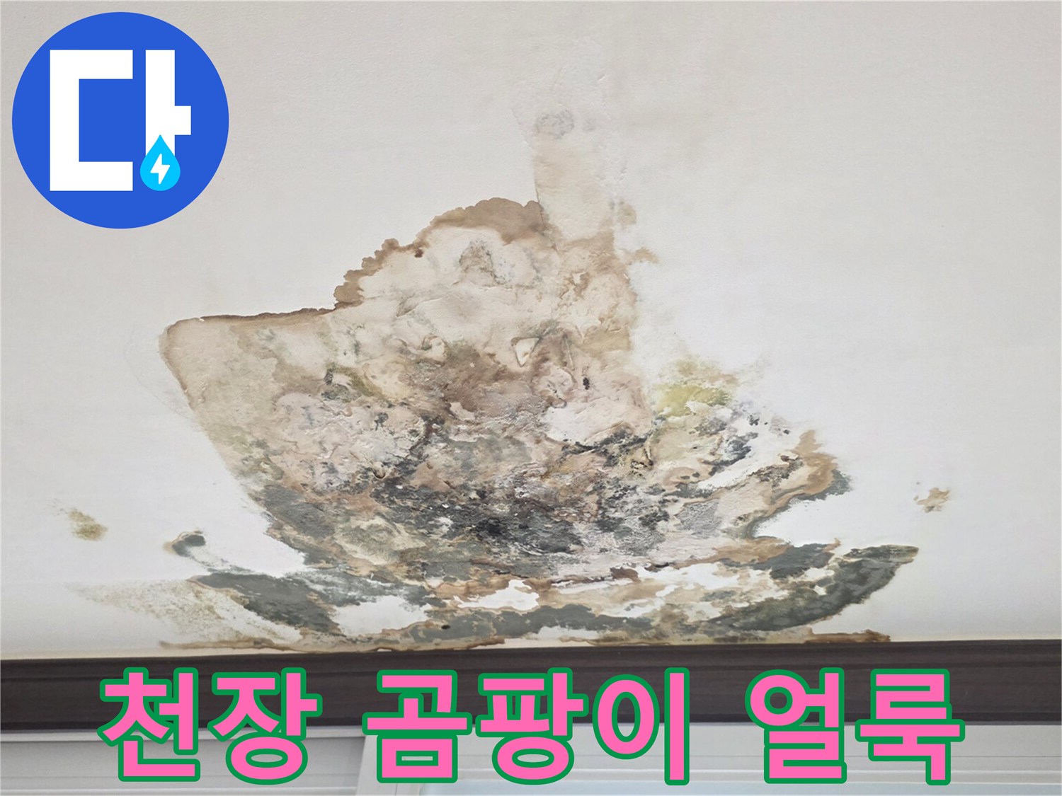 누수로 인해 발생한 천장 곰팡이와 변색된 자재