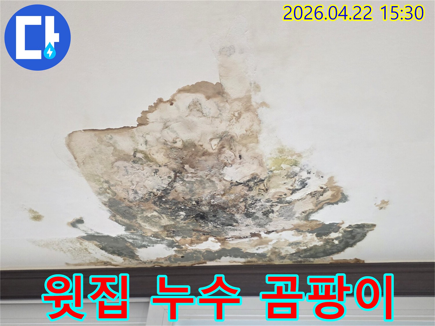 윗집-누수로-인해-천장에-심각한-곰팡이가-발생한-상황을-촬영한-사진입니다