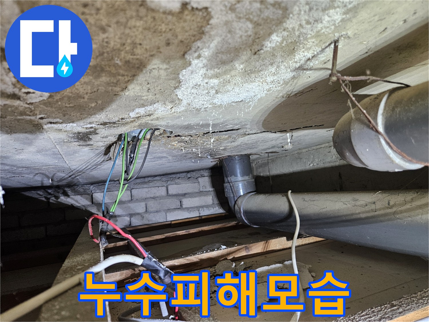 천장에서-물이-새는-오수배관-누수-정밀-진단-사진