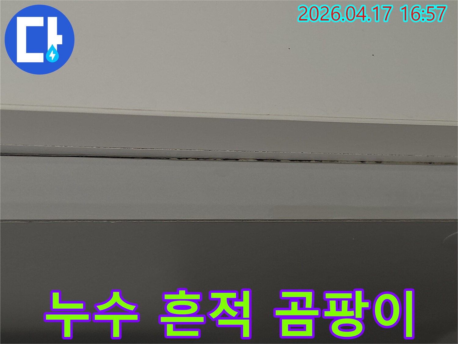 누수-엔지니어가-현장에서-발견한-천장-틈새의-곰팡이-모습을-담고-있습니다.