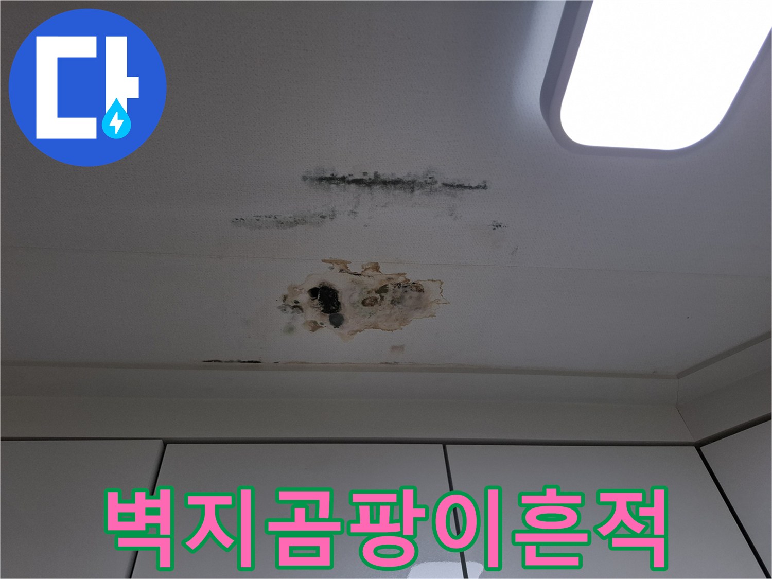갈색 얼룩과 검은 곰팡이가 있는 천장 마감재