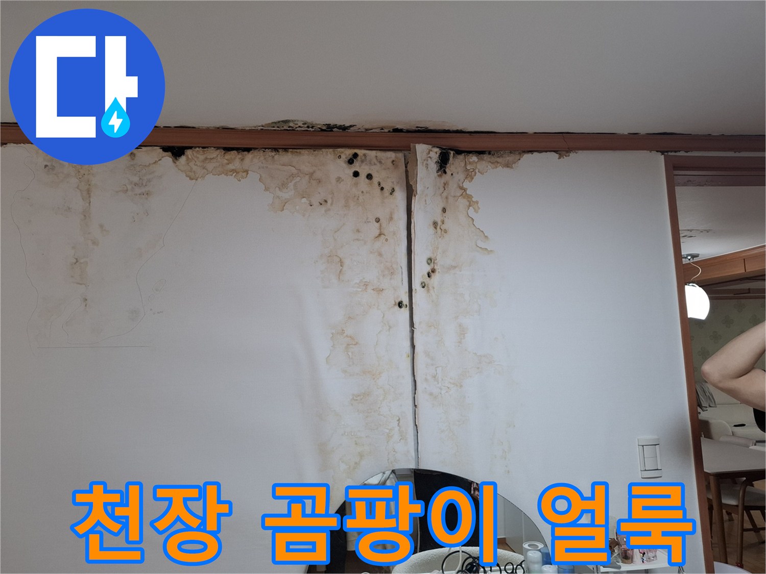 남양주 평내동 현장-아랫집 천장 벽지 곰팡이 및 물자국 상태
