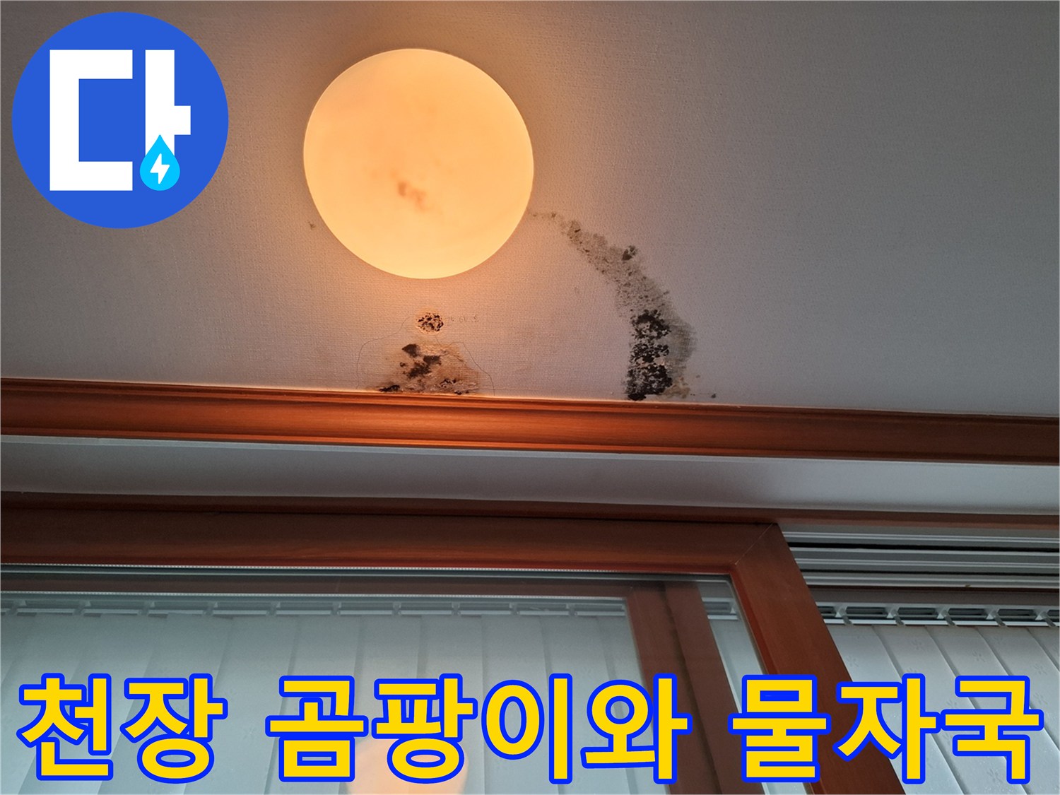 남양주 평내동 현장-아랫집 천장에 발생한 곰팡이 및 물자국 상태
