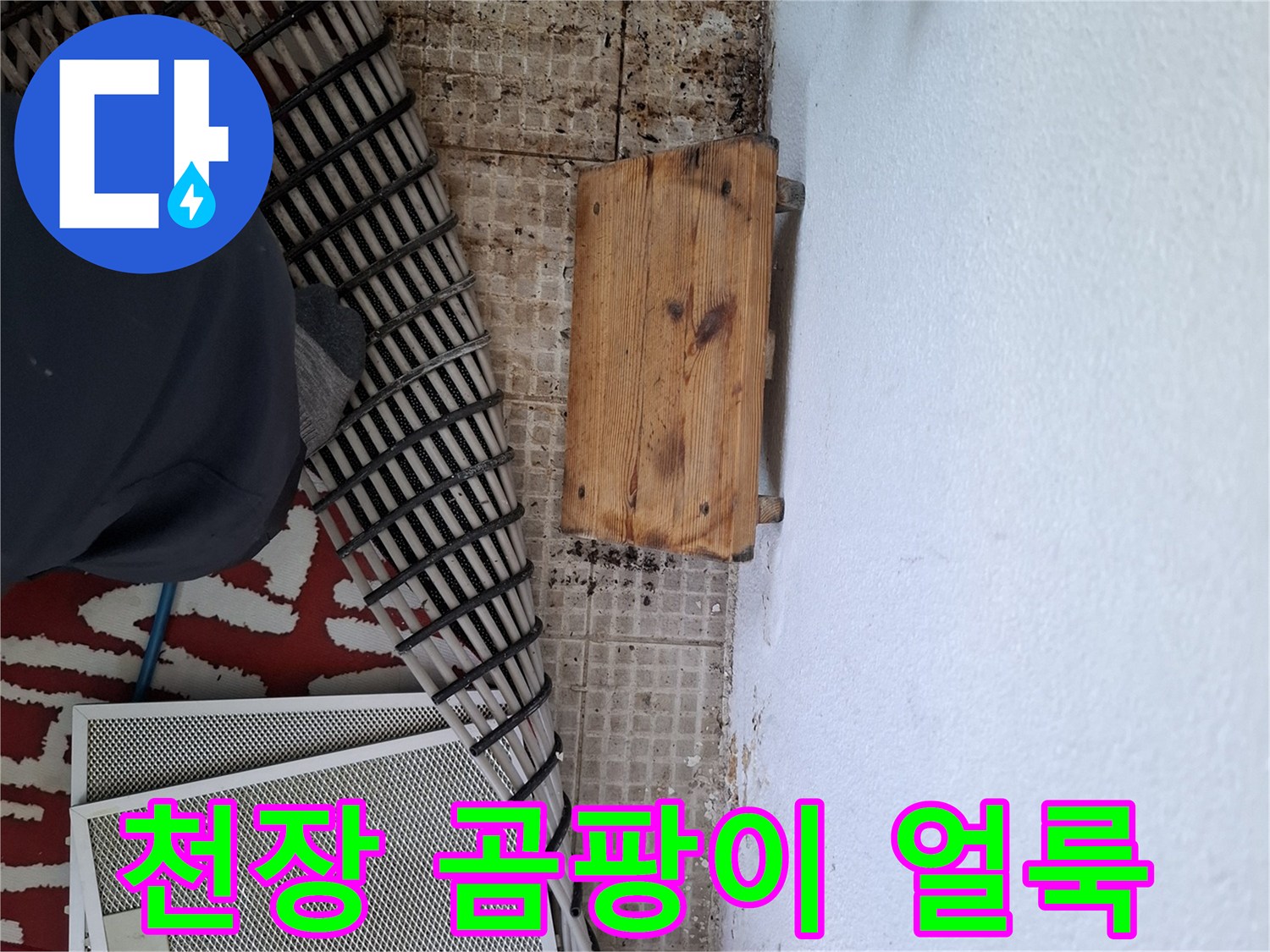 남양주 평내동 현장의 천장 곰팡이와 물자국 상태
