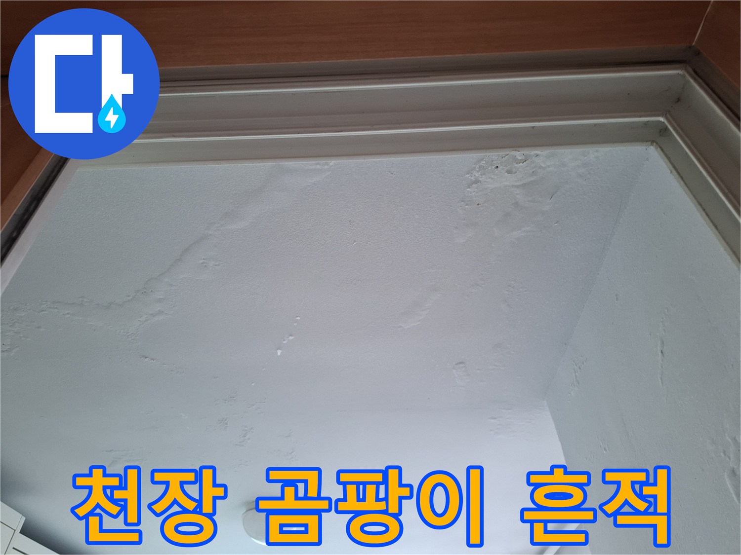 아랫집 천장 벽지-천장 곳곳에 퍼진 습기 얼룩과 곰팡이 현상