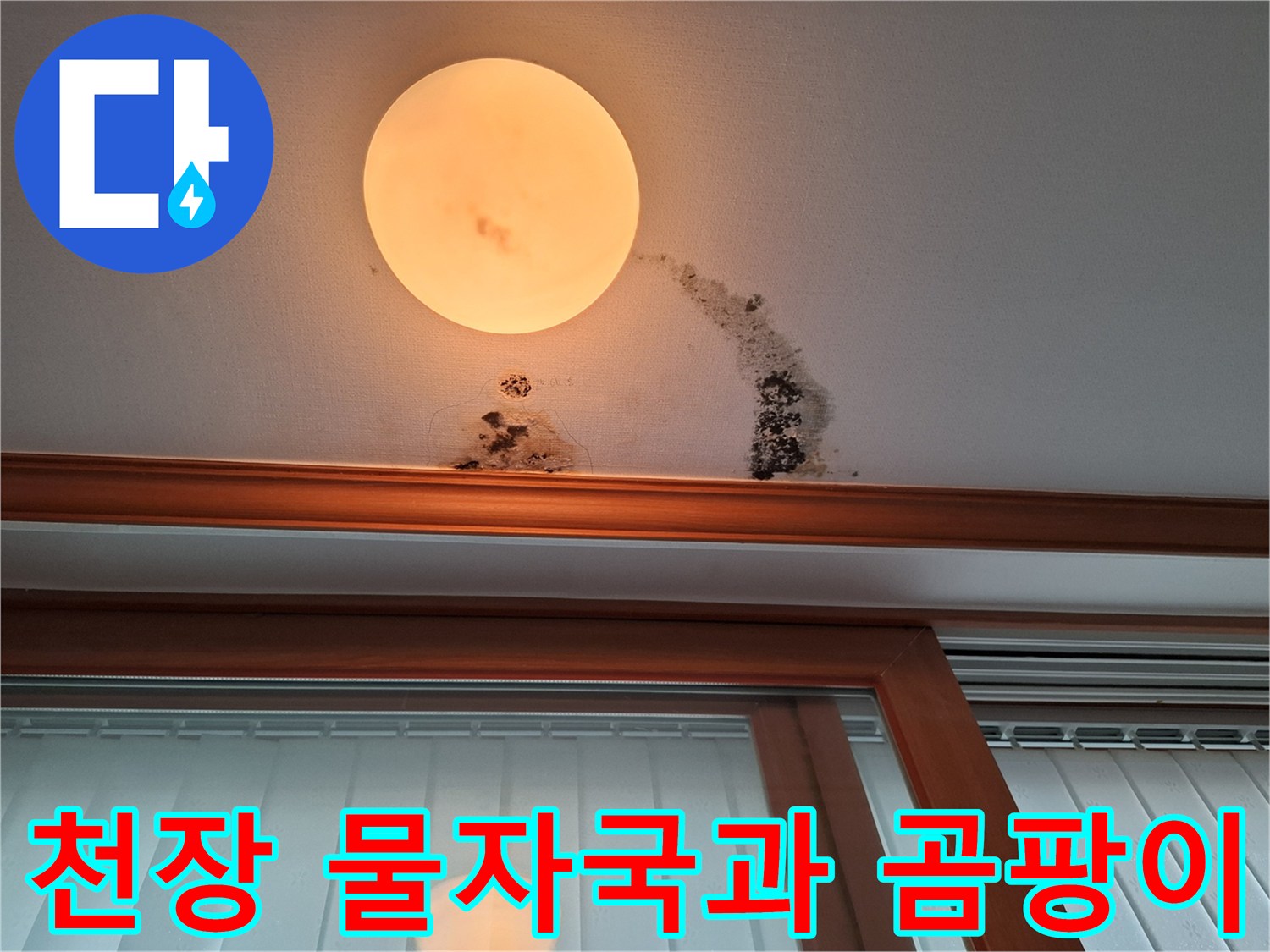 아랫집 천장에 발생한 검은 곰팡이와 갈색 물자국 현황