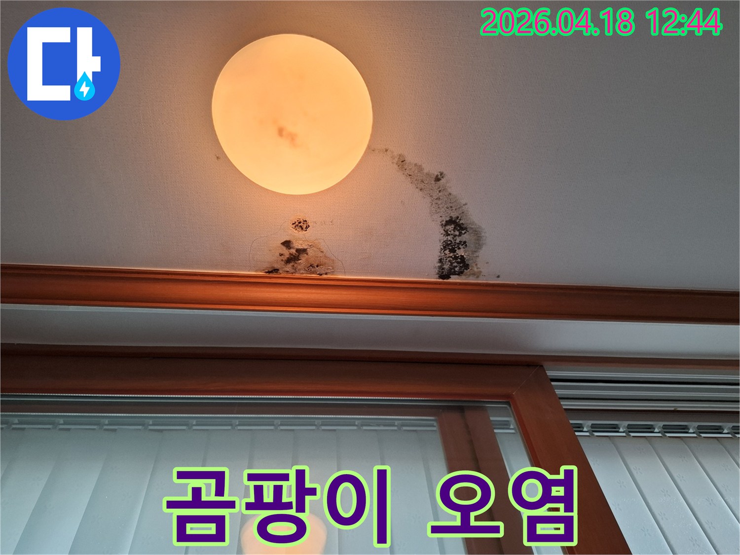 조명-주변-천장에-물이-새어-곰팡이-얼룩이-생긴-모습