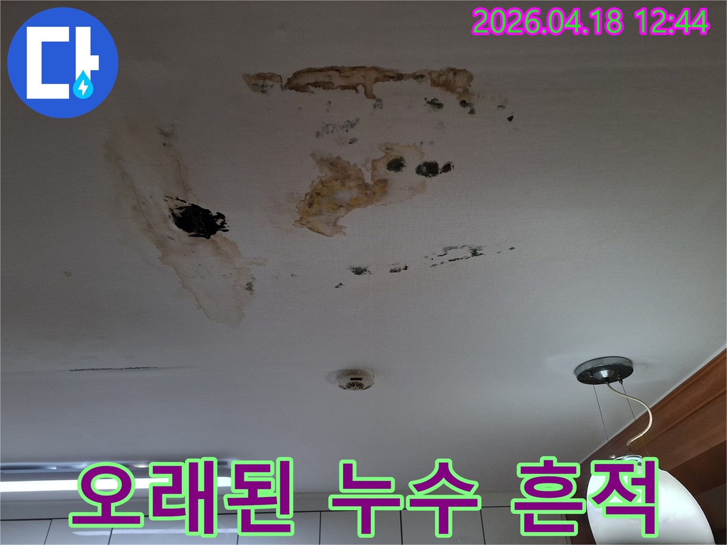 천장에 광범위하게 퍼진 오래된 누수 흔적과-검은 곰팡이가 심하게 번식한 상태를 보여주는 이미지입니다.