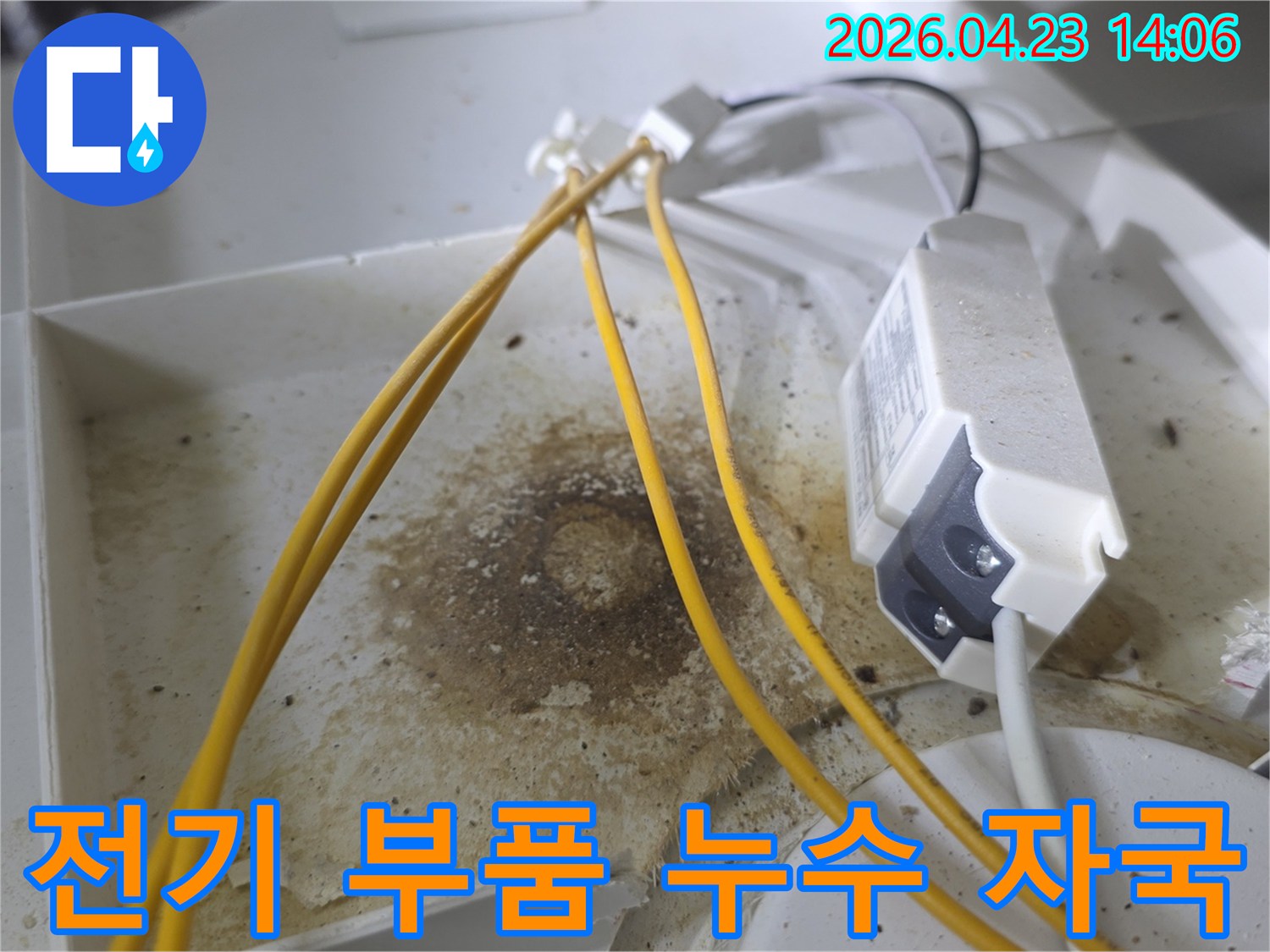 천장 내부 전기 부품 주변에 생긴 오래된 물자국과 곰팡이-누수로 인한 심각한 오염 상태를 보여줍니다-정확한 누수 원인 파악에 필수적인 증거입니다