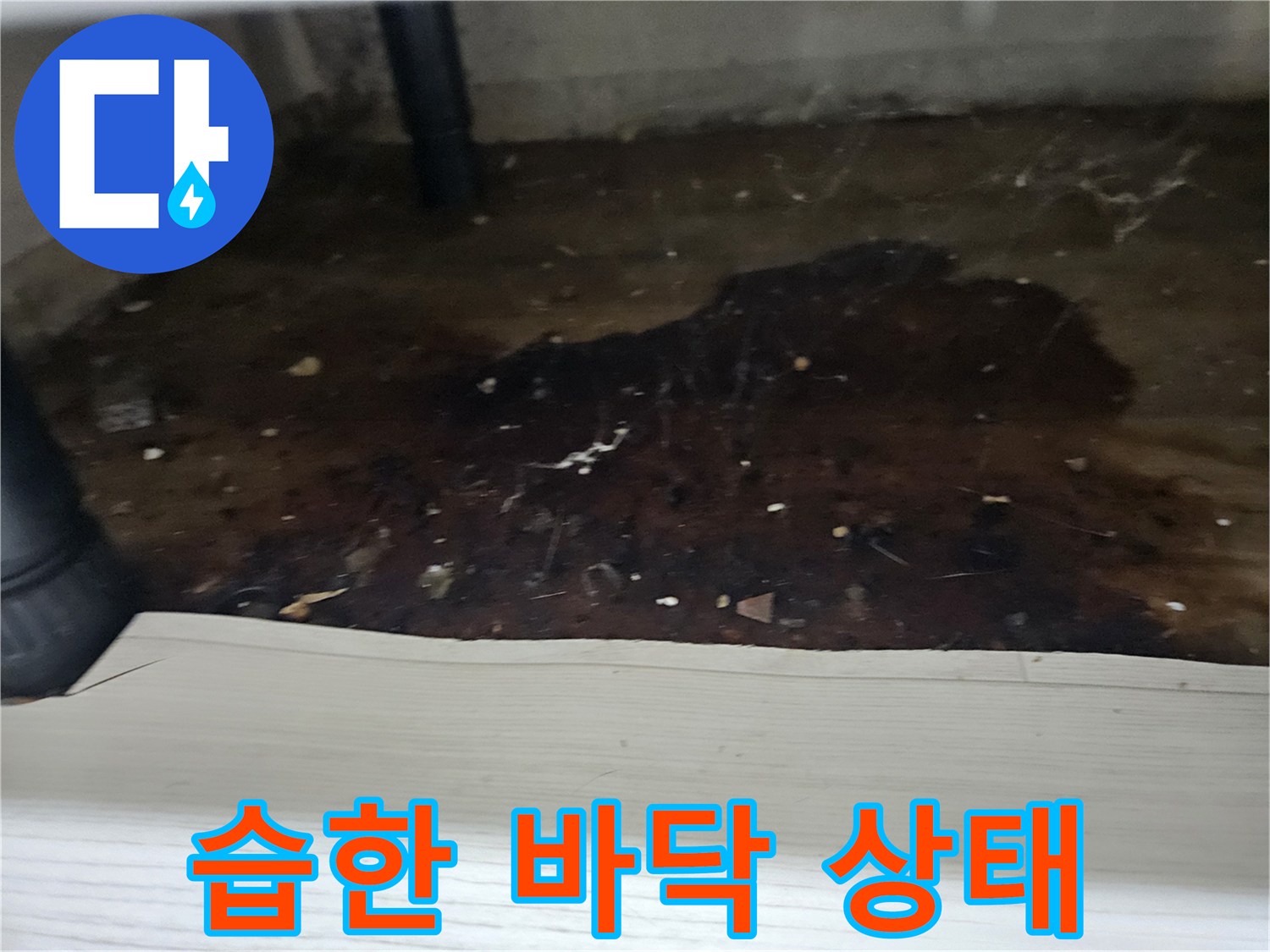 누수-문제로-인해-바닥이-축축하고-지저분해진-모습을-누수-전문가가-기록한-이미지