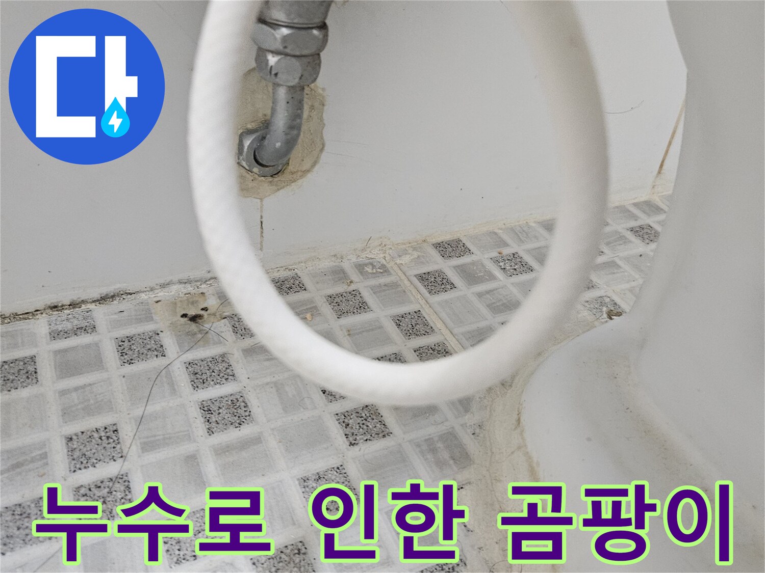 욕실 벽면과 타일 줄눈에-누수로 인해 발생한-곰팡이와 오염 흔적을-자세히 보여주는 사진입니다.