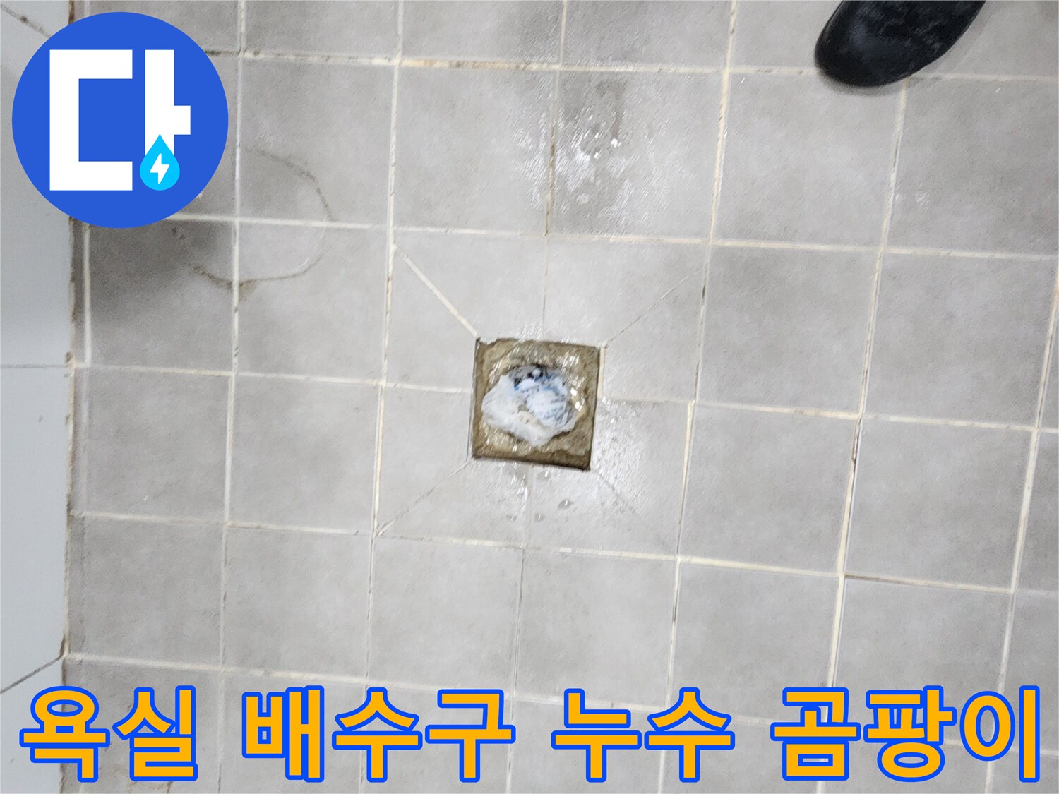 서대문구-아파트-욕실-배수구-주변-누수로-인한-곰팡이-발생-현장-점검